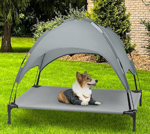 1718863431484 1718863431484